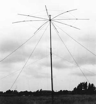 Conical Monopole